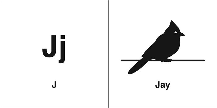 Easily-Confused-Words-Homophones-Bruce-Worden