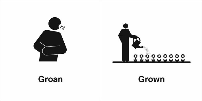 Easily-Confused-Words-Homophones-Bruce-Worden