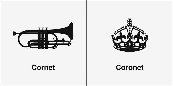 Easily-Confused-Words-Homophones-Bruce-Worden
