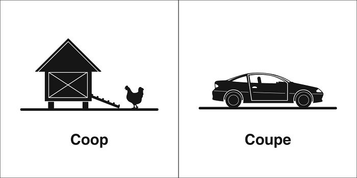 Easily-Confused-Words-Homophones-Bruce-Worden