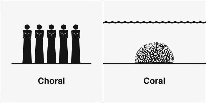 Easily-Confused-Words-Homophones-Bruce-Worden