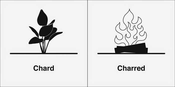 Easily-Confused-Words-Homophones-Bruce-Worden