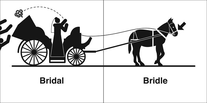 Easily-Confused-Words-Homophones-Bruce-Worden