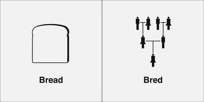 Easily-Confused-Words-Homophones-Bruce-Worden