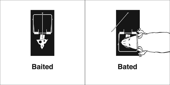 Easily-Confused-Words-Homophones-Bruce-Worden