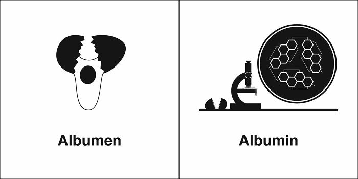 Easily-Confused-Words-Homophones-Bruce-Worden