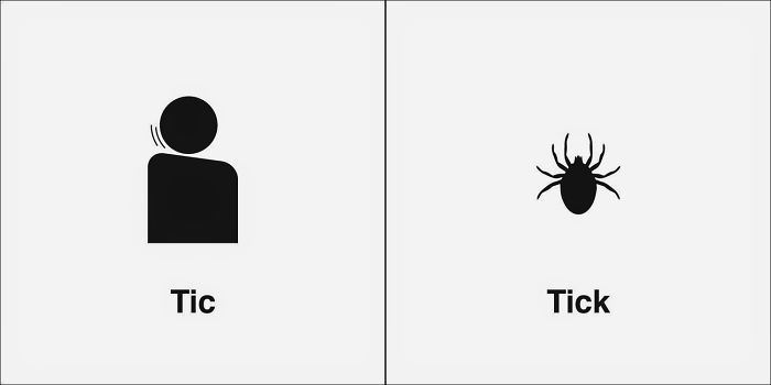 Easily-Confused-Words-Homophones-Bruce-Worden