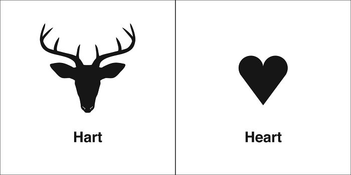 Easily-Confused-Words-Homophones-Bruce-Worden