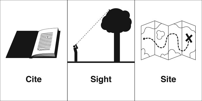 Easily-Confused-Words-Homophones-Bruce-Worden