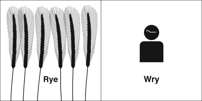 Easily-Confused-Words-Homophones-Bruce-Worden