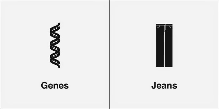 Easily-Confused-Words-Homophones-Bruce-Worden