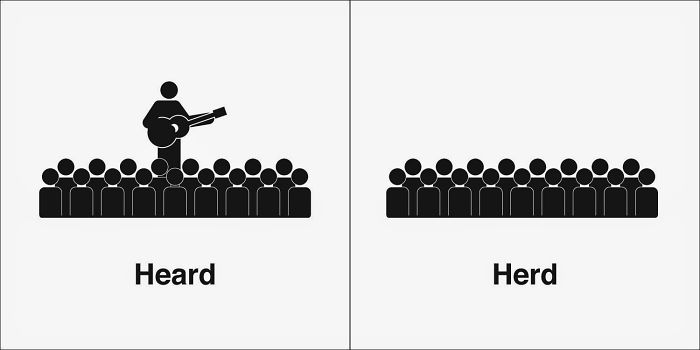 Easily-Confused-Words-Homophones-Bruce-Worden