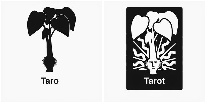 Easily-Confused-Words-Homophones-Bruce-Worden