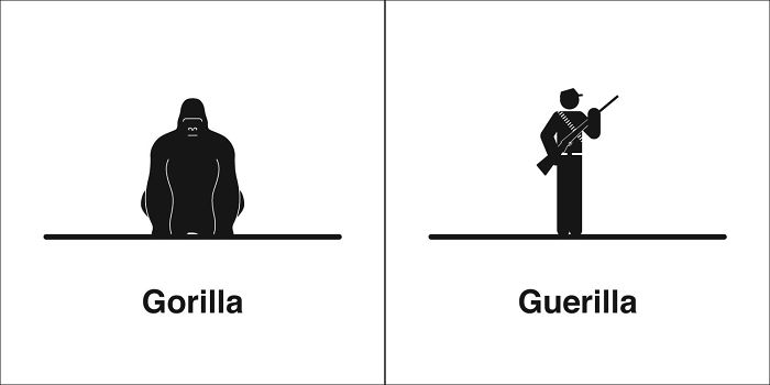 Easily-Confused-Words-Homophones-Bruce-Worden