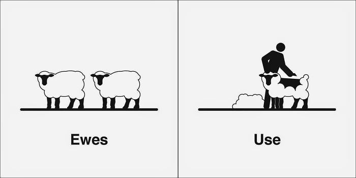 Easily-Confused-Words-Homophones-Bruce-Worden