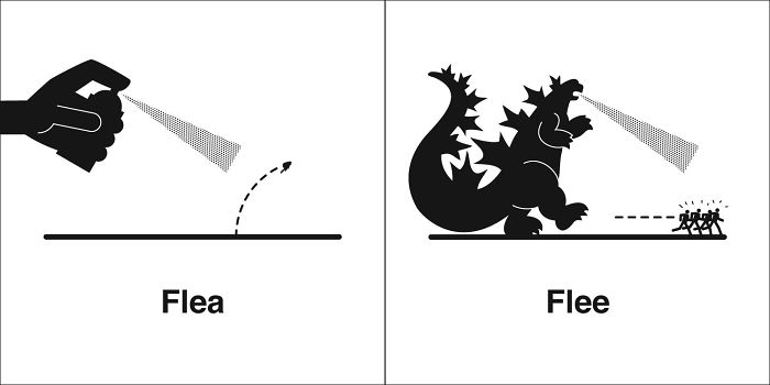 Easily-Confused-Words-Homophones-Bruce-Worden
