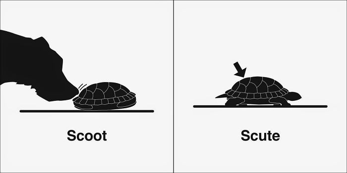 Easily-Confused-Words-Homophones-Bruce-Worden