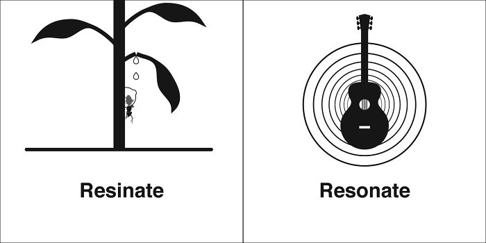 Easily-Confused-Words-Homophones-Bruce-Worden