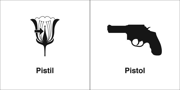 Easily-Confused-Words-Homophones-Bruce-Worden