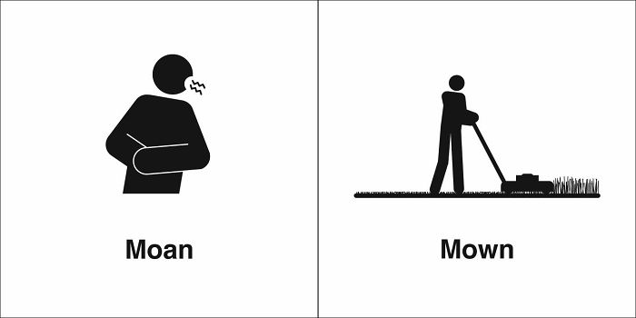 Easily-Confused-Words-Homophones-Bruce-Worden