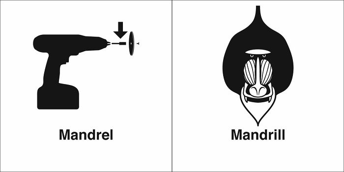 Easily-Confused-Words-Homophones-Bruce-Worden