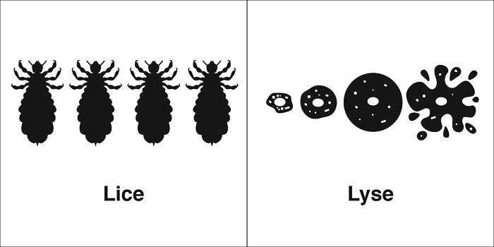 Easily-Confused-Words-Homophones-Bruce-Worden