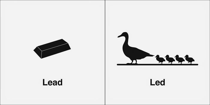 Easily-Confused-Words-Homophones-Bruce-Worden