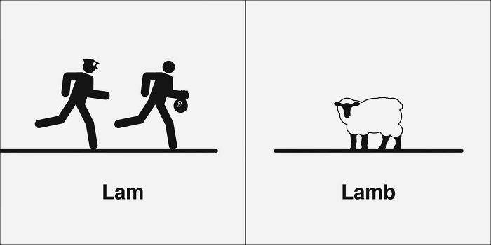 Easily-Confused-Words-Homophones-Bruce-Worden