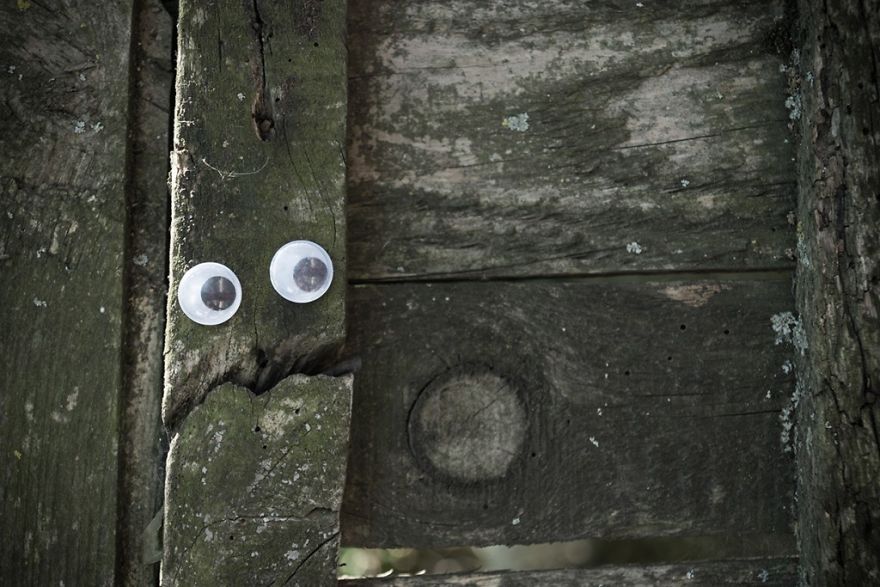 I Bring Bulgarian Streets To Life By Putting Googly Eyes On Random Objects (New Pics)