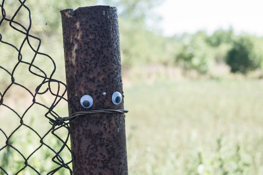 I Bring Bulgarian Streets To Life By Putting Googly Eyes On Random Objects (New Pics)