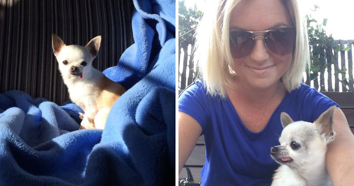 Dog Finds It Difficult To Sleep During Thunderstorms, But This Woman Knows A Sweet Solution