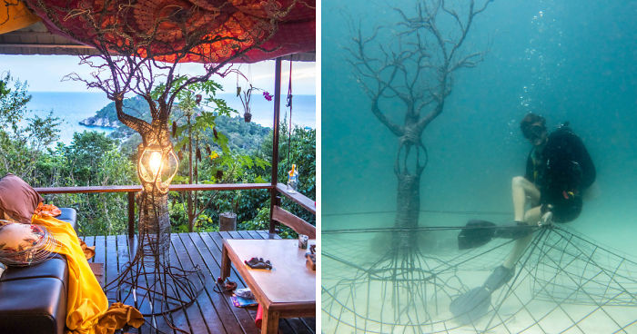 The Tree Of Life: I Created An Underwater Electrified Artificial Reef