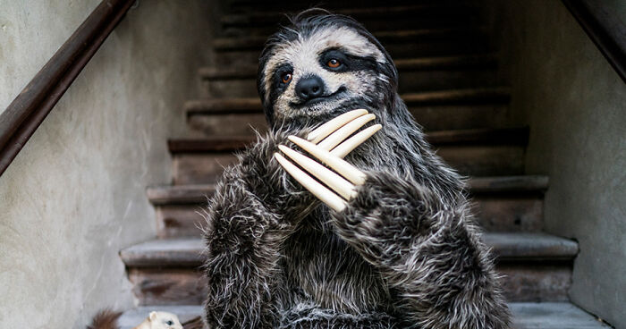 I Created A Realistic Sloth Costume