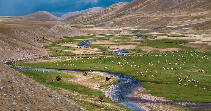 10 Things Borat Never Told You About Kazakhstan Or Interesting Facts And Images From My Homeland