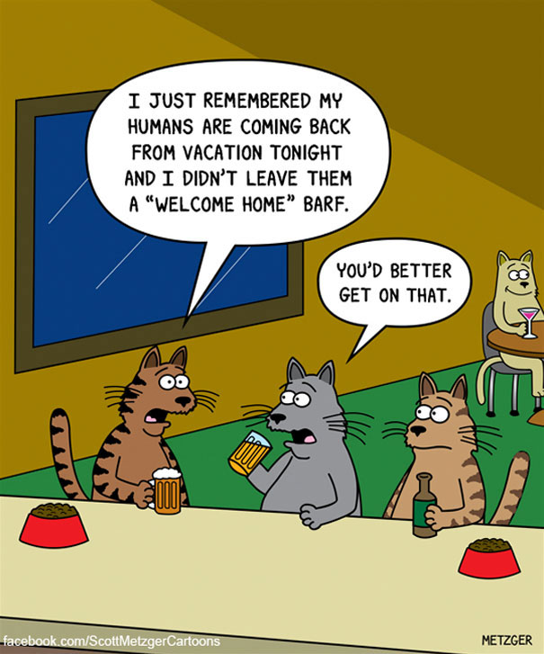 https://www.boredpanda.com/blog/wp-content/uploads/2018/05/funny-cat-comics-scott-metzger-cartoons-113-5b0eb271ee4f3__605.jpg