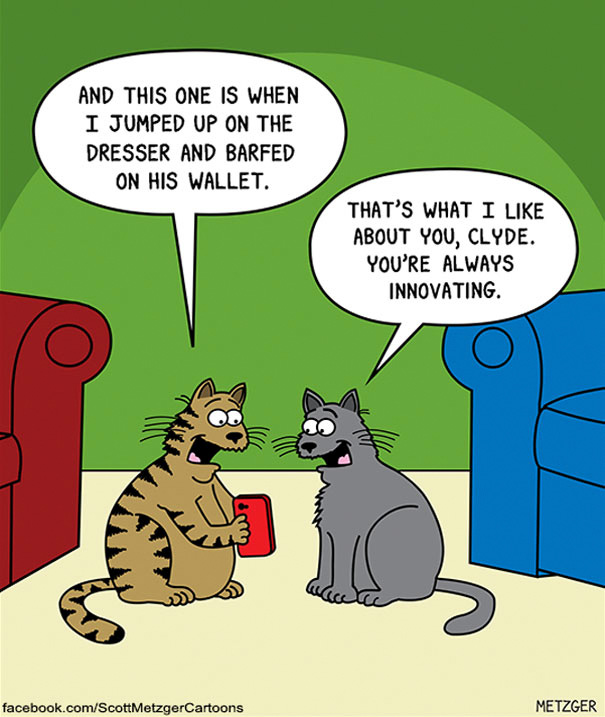 Cat Comics