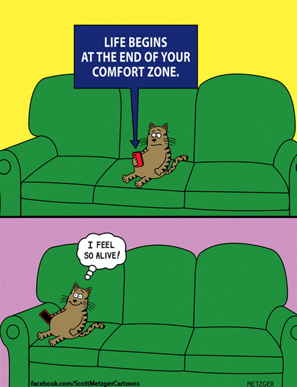 Cat Comics
