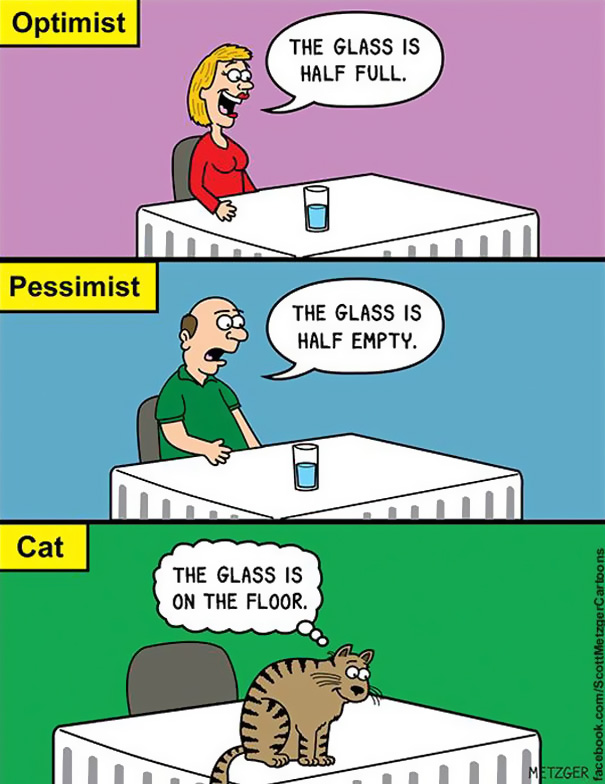 Cat Comics