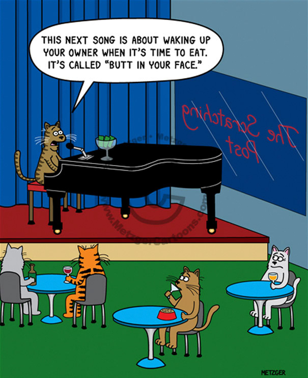 Cat Comics