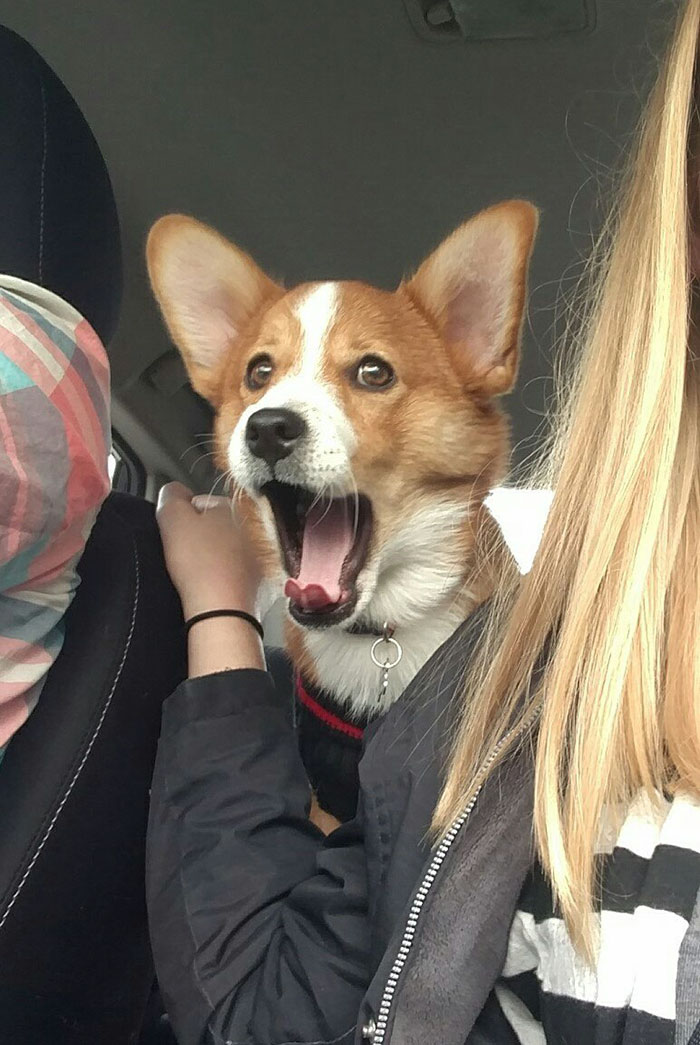 Barry Seems To Think I'm Driving Too Fast