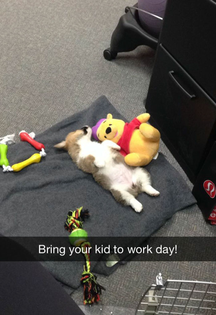 My Girlfriend Just Sent Me This