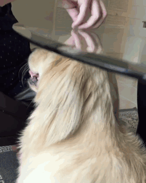 Something's Not Right Here