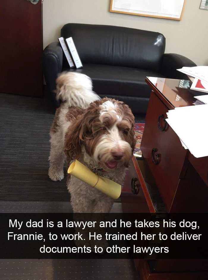 Funny-Lawyer-Jokes