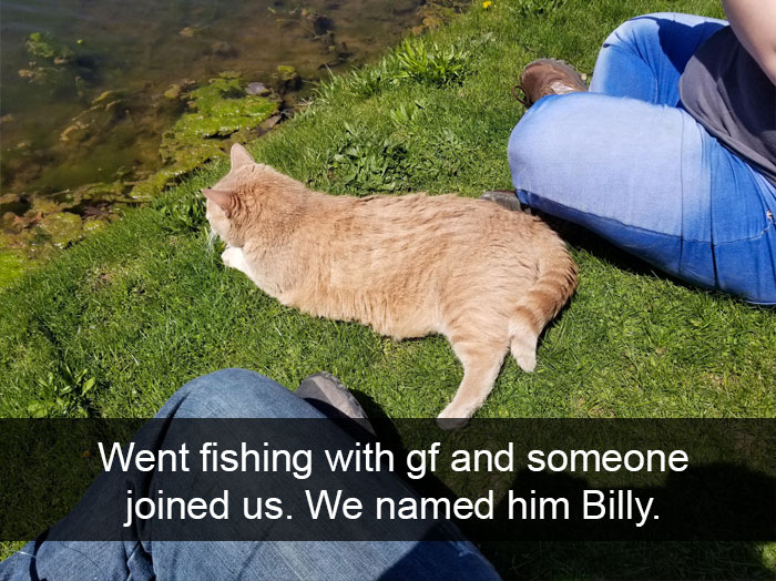 Funny-Pics-Cat-Snapchat