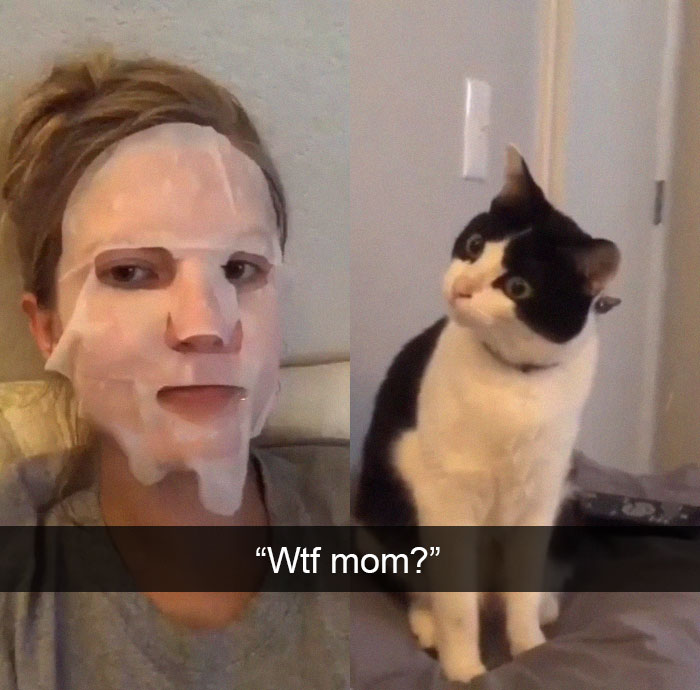 Funny-Pics-Cat-Snapchat