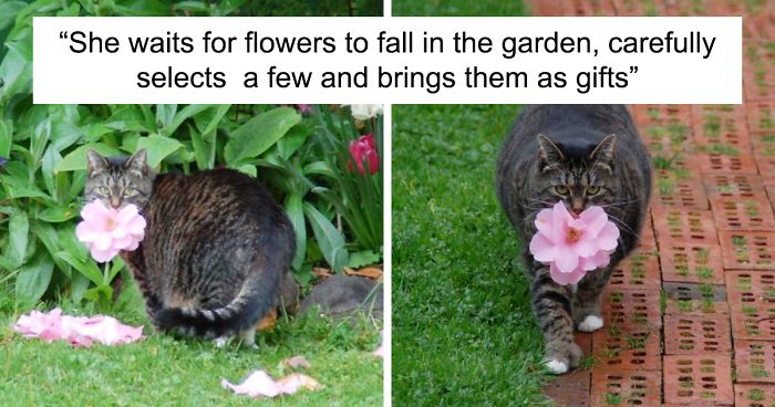 40 Hilarious Cat Snapchats That Will Leave You With The Biggest Smile