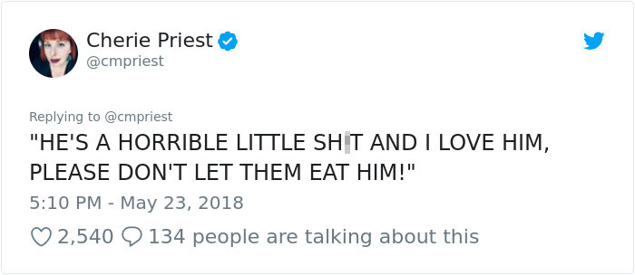 Woman Shares Her Epic Dog Saga On Twitter, And It Will Bring You Tears Of Laughter