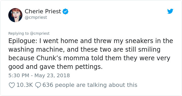 Woman Shares Her Epic Dog Saga On Twitter, And It Will Bring You Tears Of Laughter