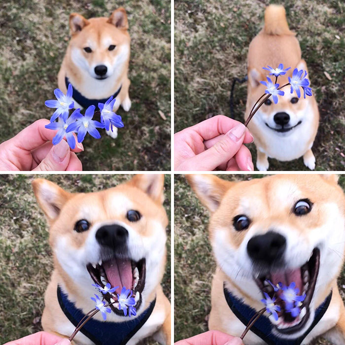 Screen Captures That Perfectly Depict Yoshi's Derpy Yet Nutty Personality