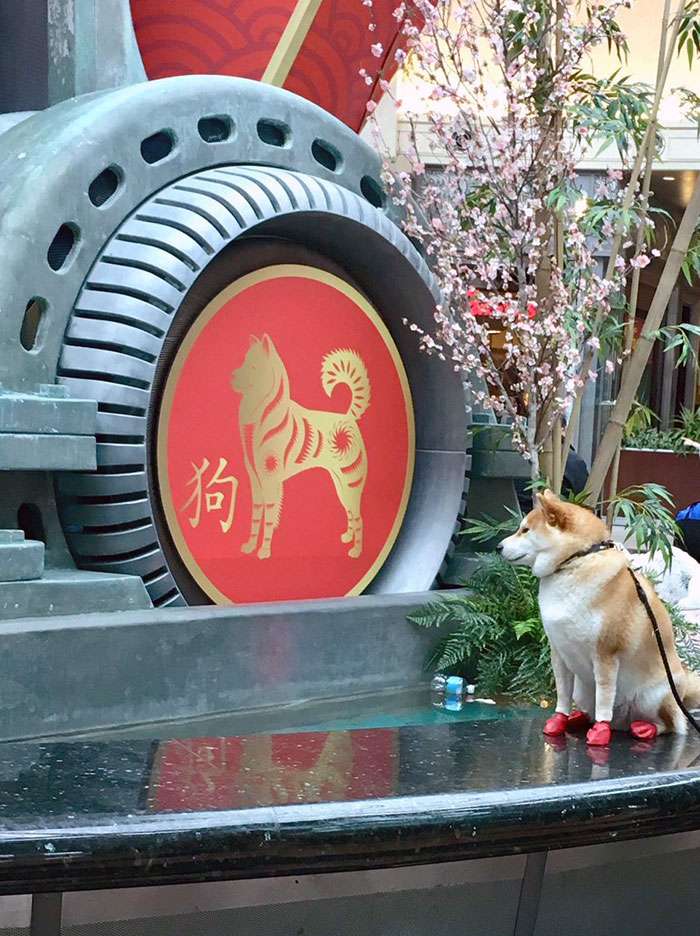 When You're Sick And Tired Of Unrealistic Body Standards In Advertising